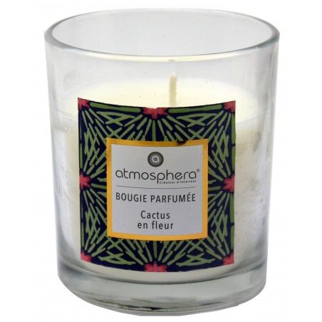 Candela Profumata Cactus con vetro in Cristallo e la Scatola Decorativa, Ideale per fare dei regali. Candele profumate 110 g