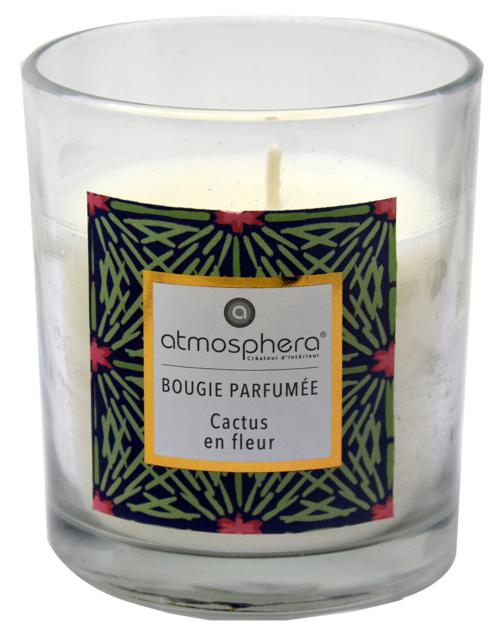 Candela Profumata Cactus con vetro in Cristallo e la Scatola Decorativa, Ideale per fare dei regali. Candele profumate 110 g