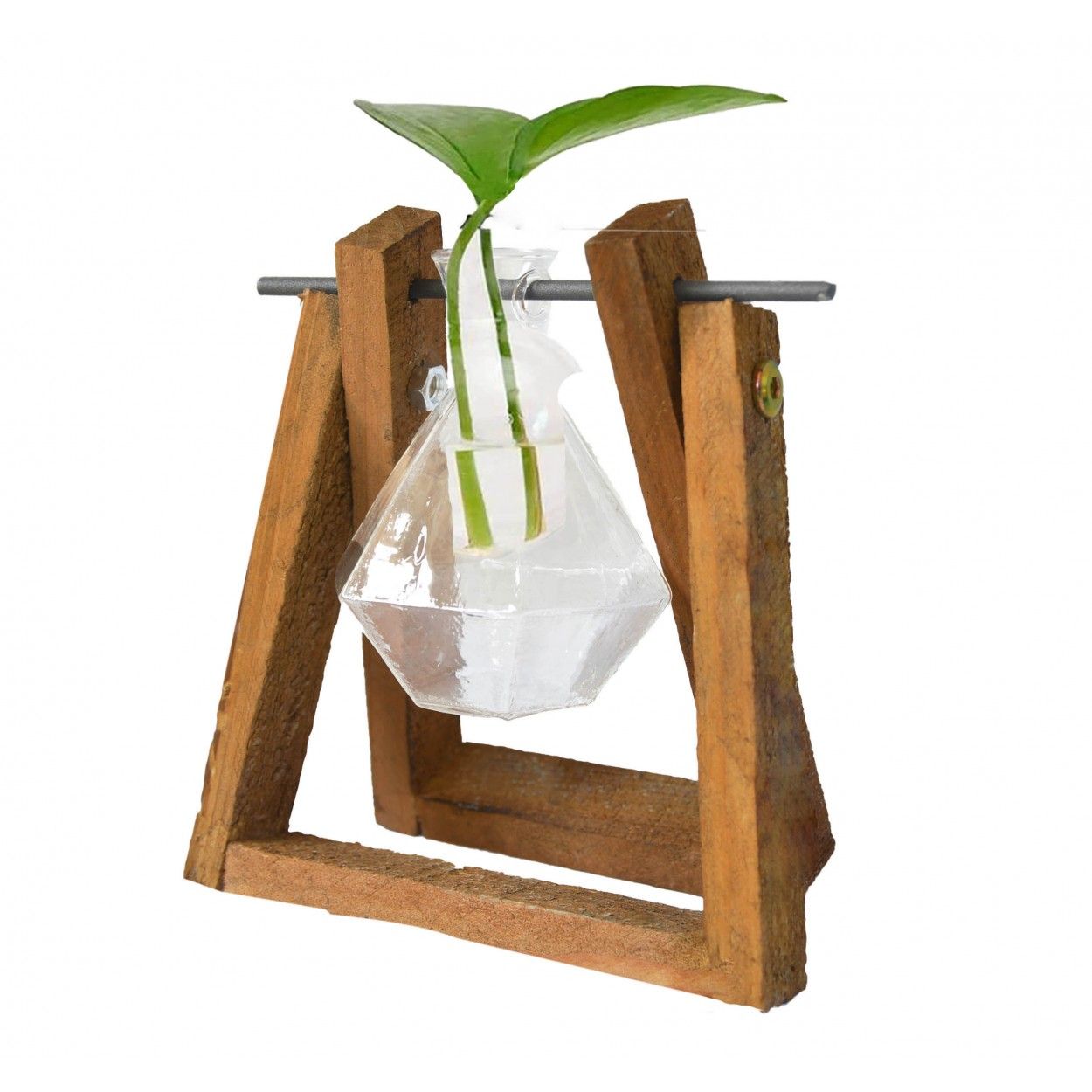 Jarrón Plantas Hidropónicas Soporte Madera y Varilla giratoria Metal 8,5X14