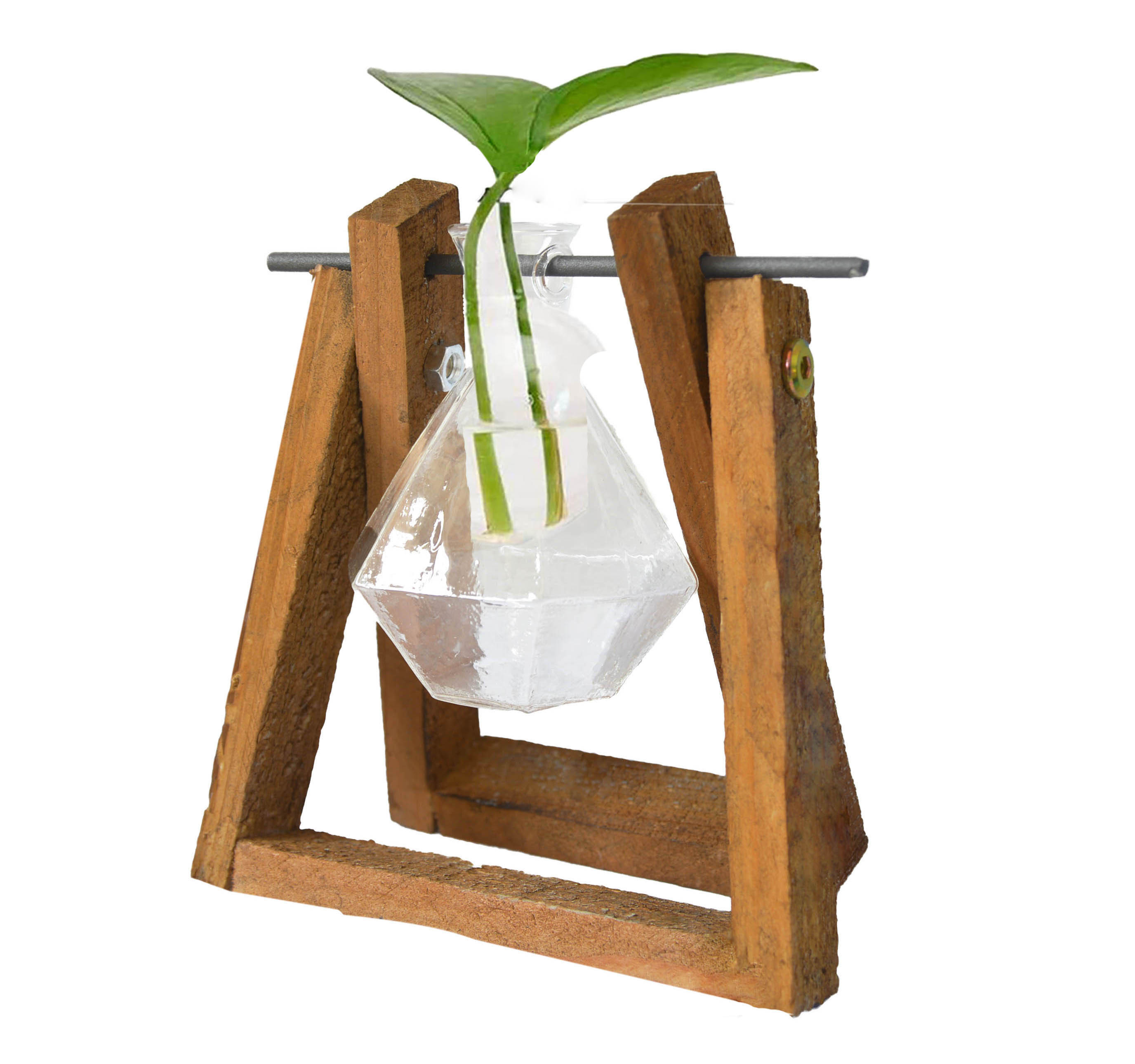 Jarrón Plantas Hidropónicas Soporte Madera y Varilla giratoria Metal 8,5X14