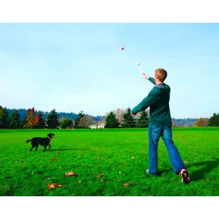 Lanzador de pelota para Perros, Tres colores diferentes 36cm