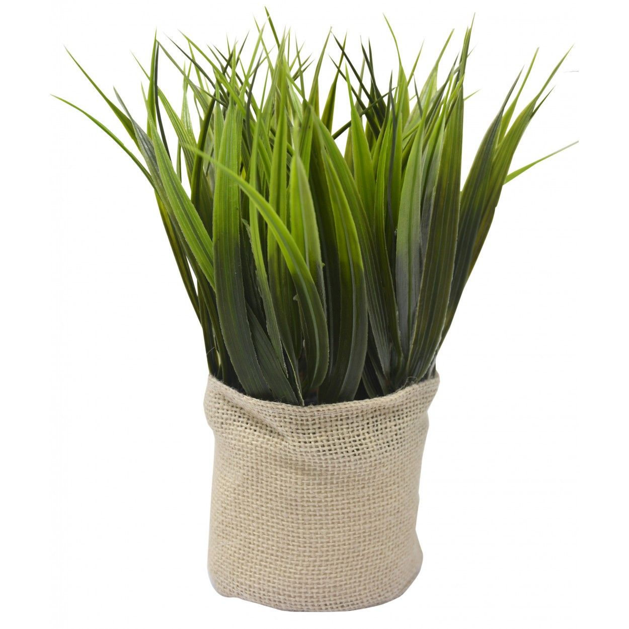 PLANTA SACO YUTE