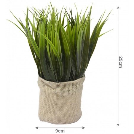 PLANTA SACO YUTE