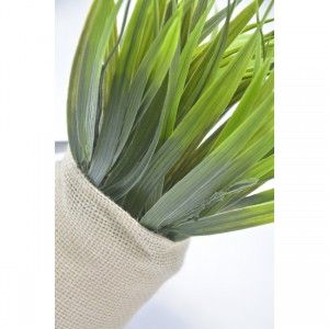 PLANTA SACO YUTE