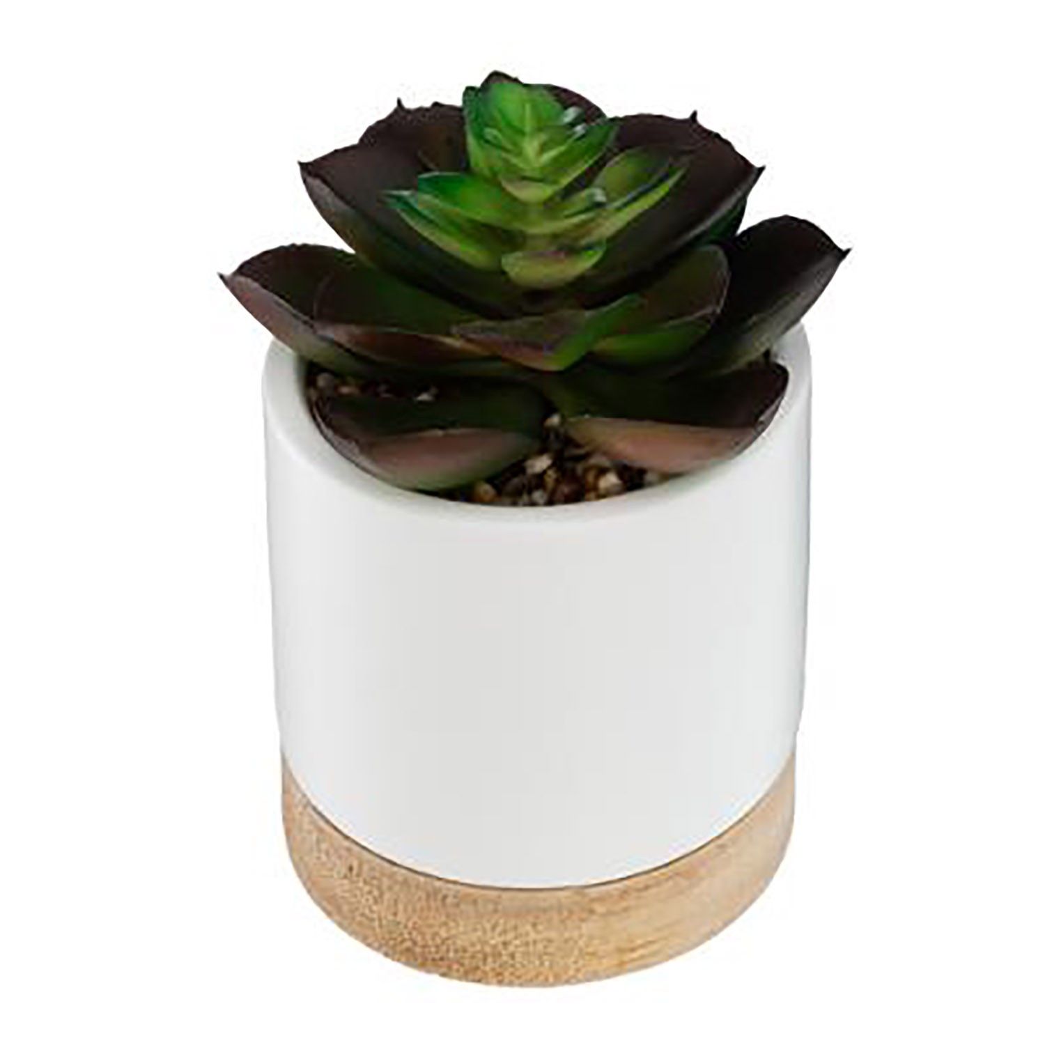PLANTAS NATUR MACETA CERÁMICA