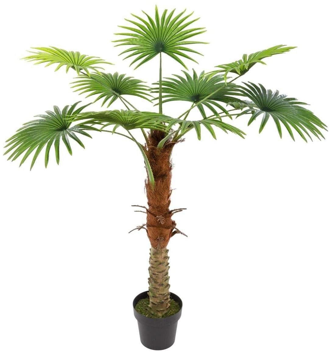 PALMERA