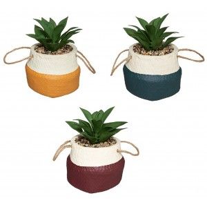 PLANTAS