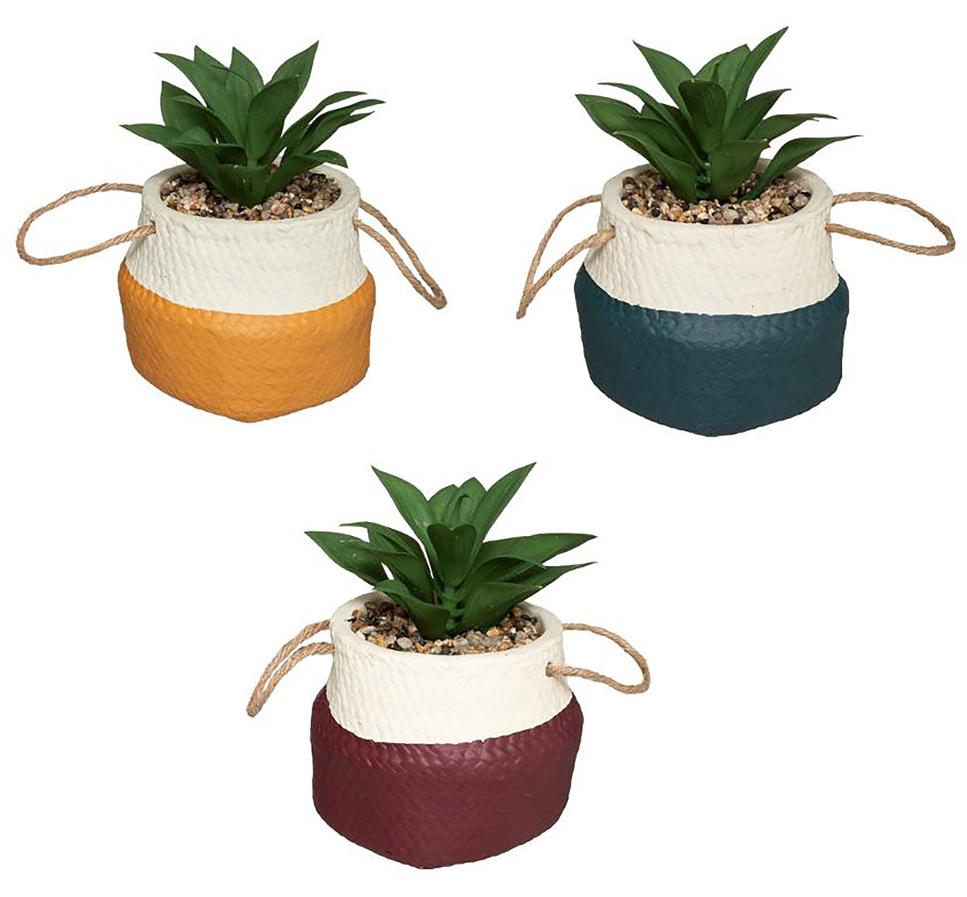 PLANTAS