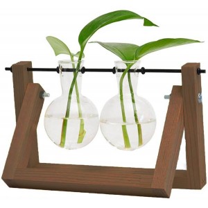 Jarrón Plantas Hidropónicas Soporte Madera y Varilla giratoria Metal 21x15x16