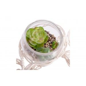 PLANTA COLGANTE OSLO Ø10