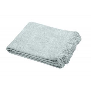 copy of MANTA WOOLLY...