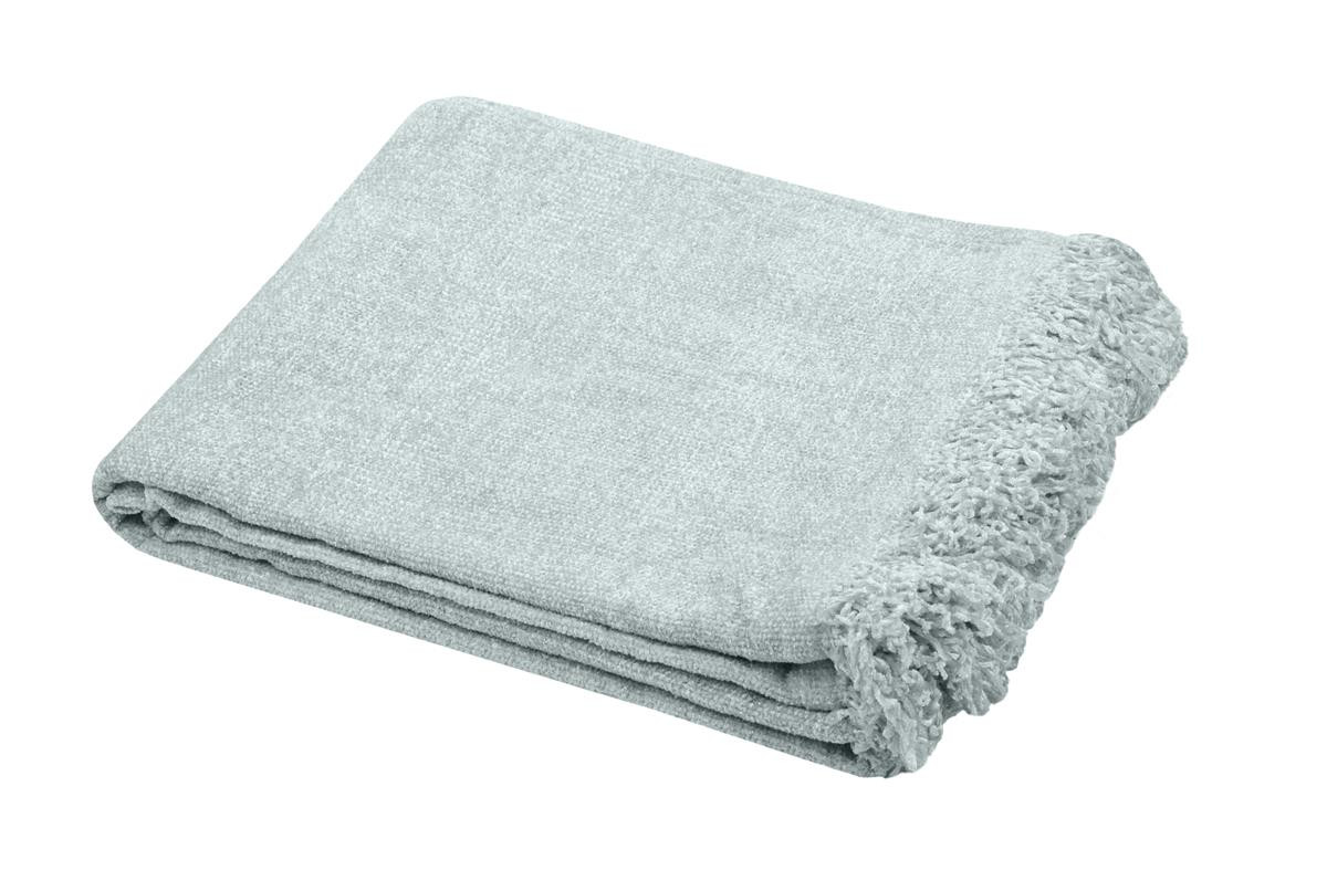 copy of MANTA WOOLLY...