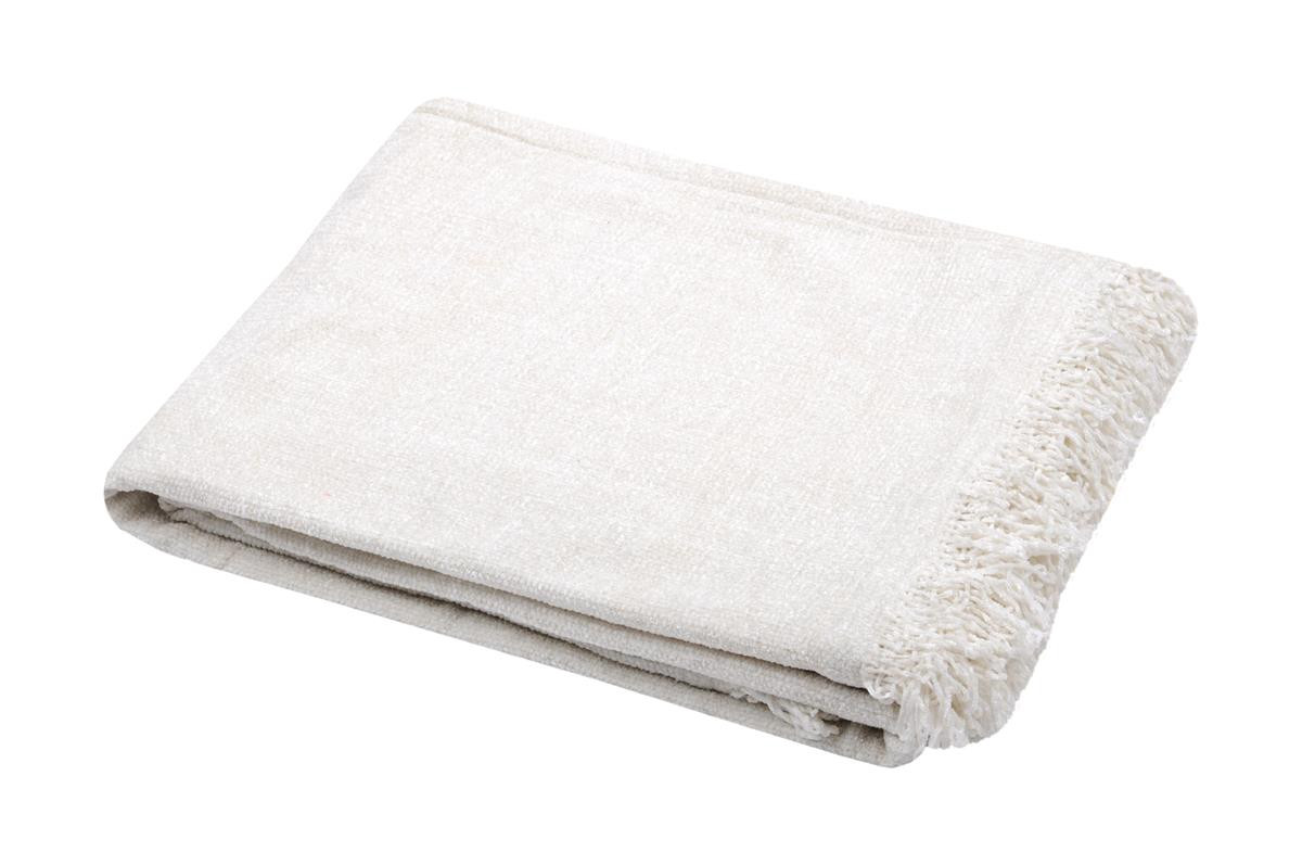 copy of MANTA WOOLLY...