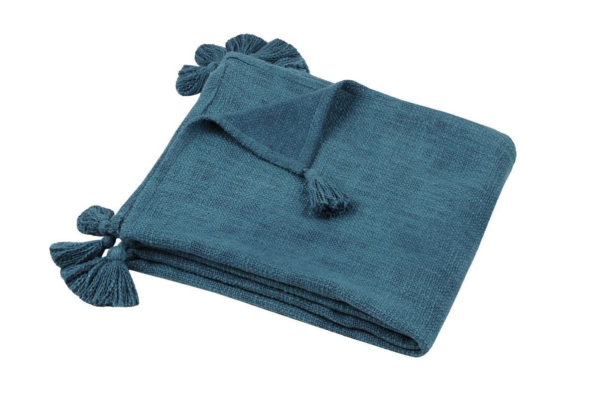 copy of MANTA WOOLLY...