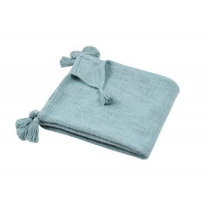 copy of MANTA WOOLLY...
