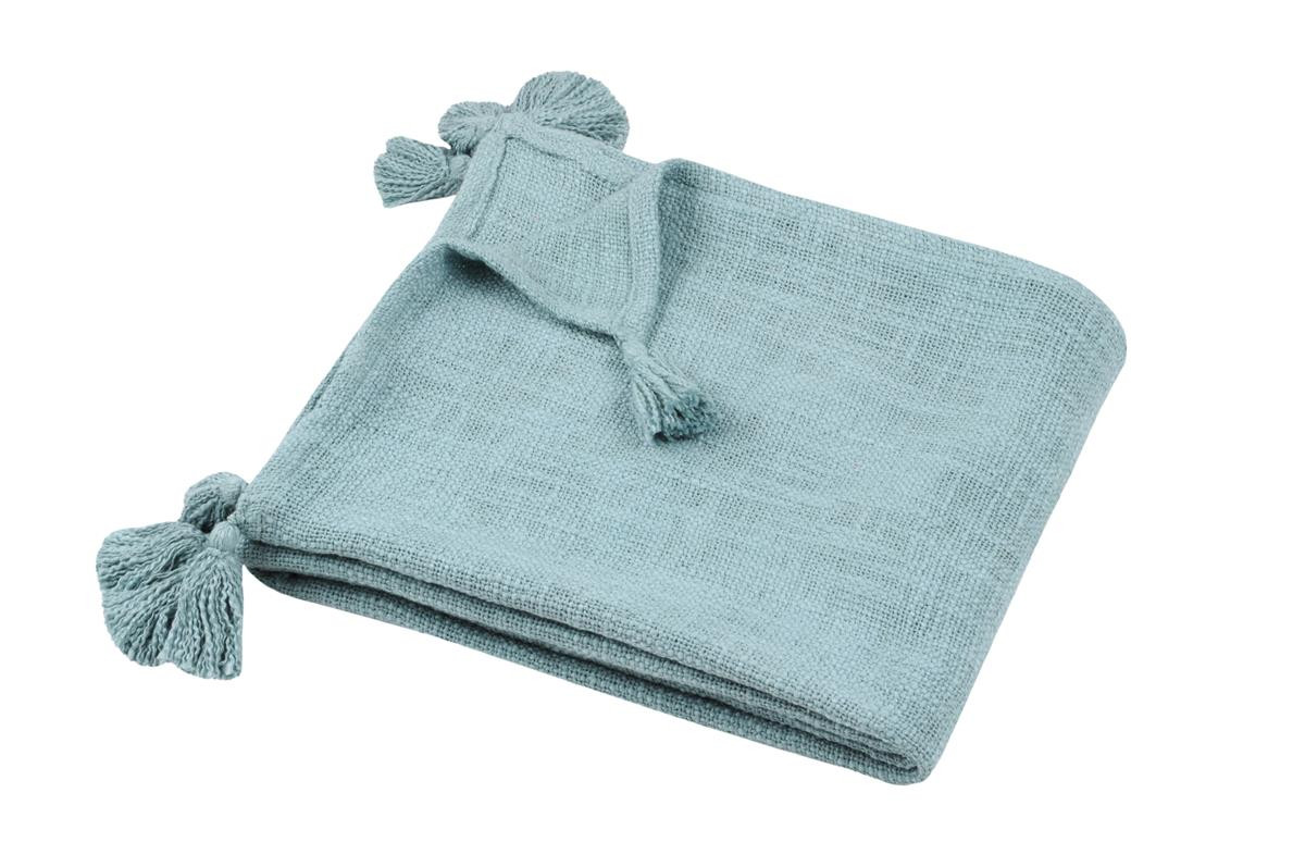 copy of MANTA WOOLLY...