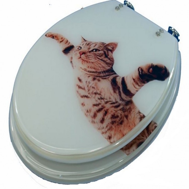 Le couvercle de la toilette de chat