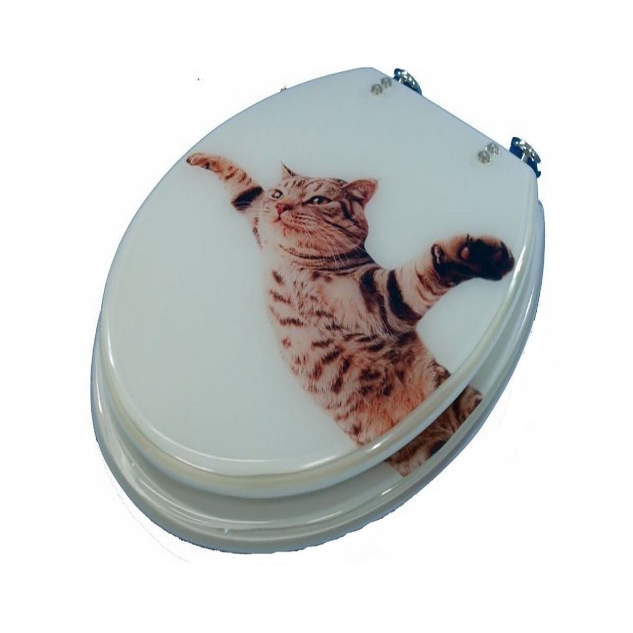 Le couvercle de la toilette de chat