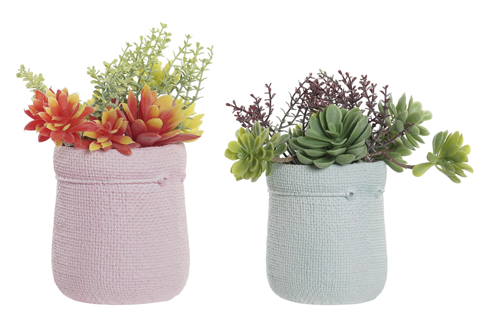 PLANTA DECORATIVA...