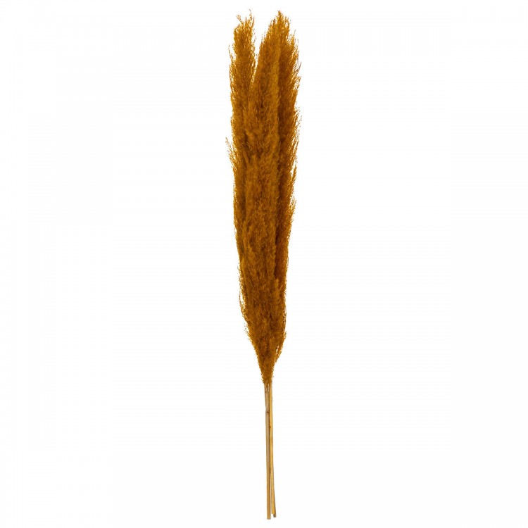 pampa natural decoracion ocre flores secas.