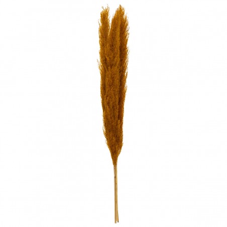 pampa natural decoracion ocre flores secas.
