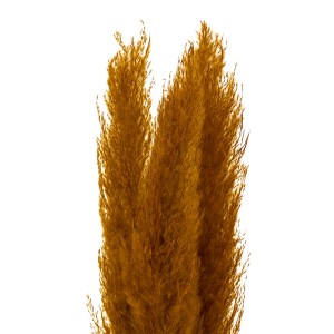 pampa natural decoracion ocre flores secas.