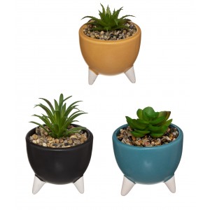 planta decorativa con maceta ceramica.
