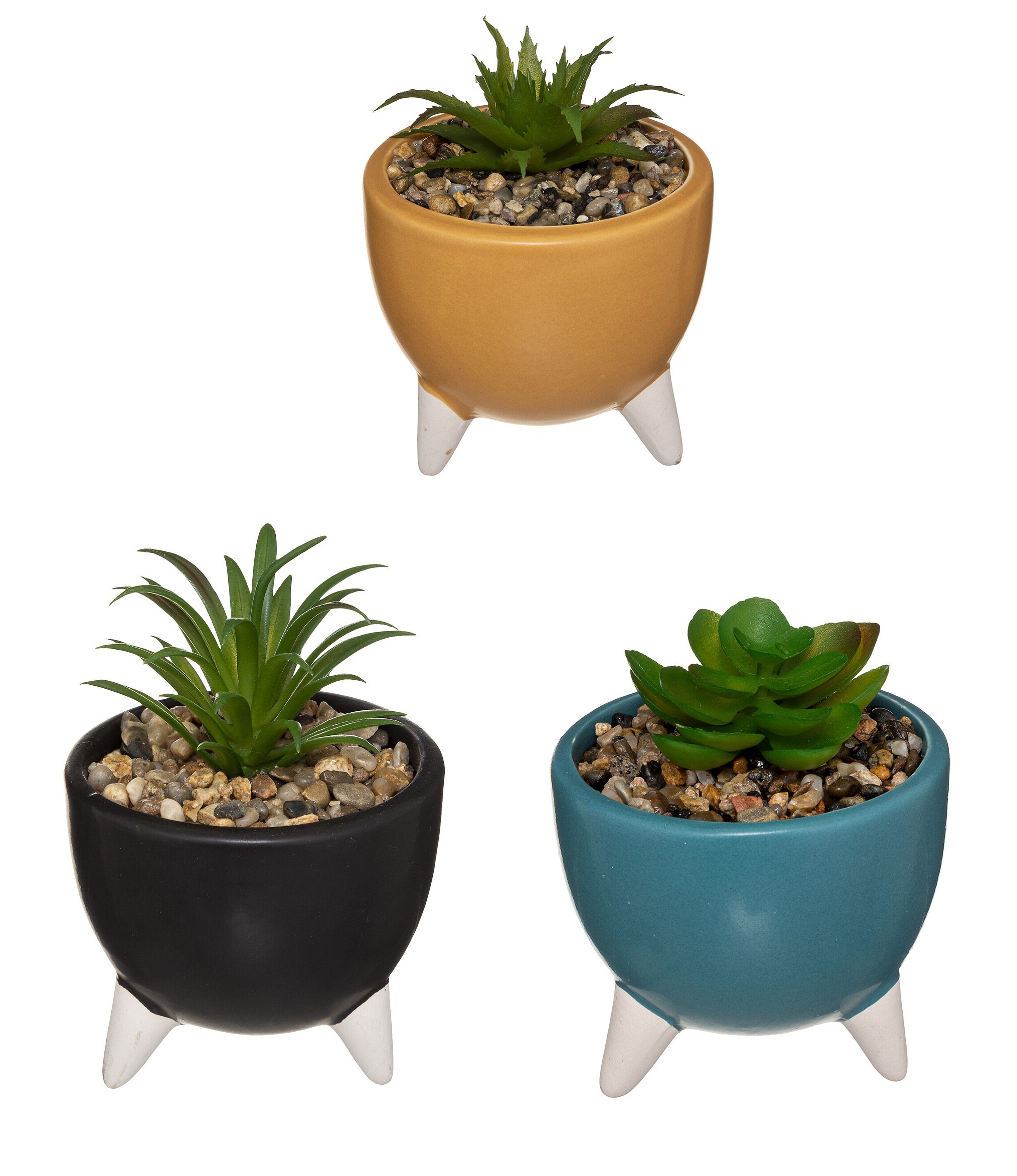 PLANTA DECORATIVA CON...