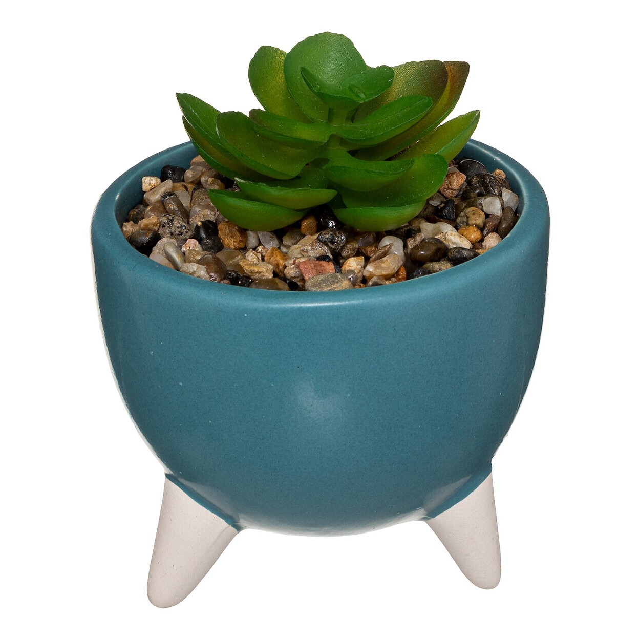 planta decorativa con maceta ceramica.