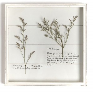 copy of
