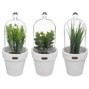 PLANTA DECORATIVA...