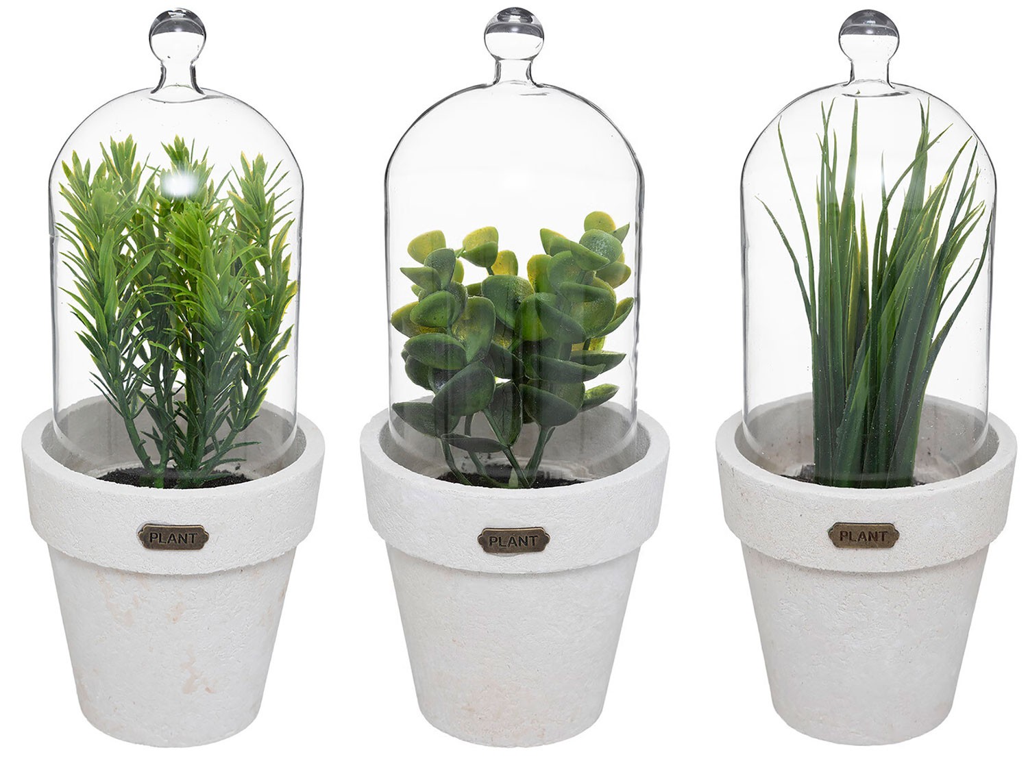 PLANTA DECORATIVA...