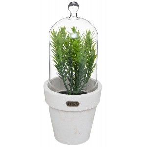 PLANTA DECORATIVA ARTIFICIAL ENCAPSULADA 9X22CM