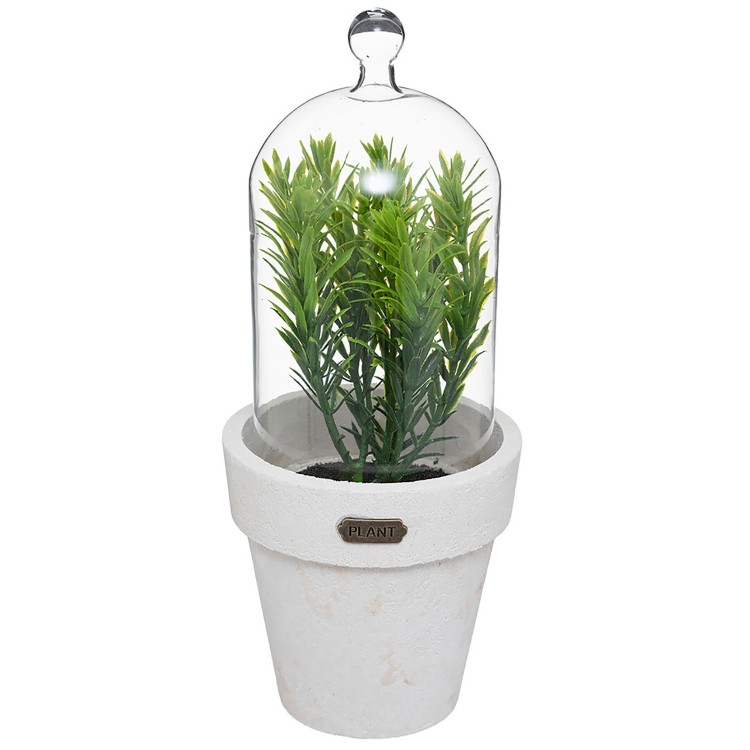 PLANTA DECORATIVA ARTIFICIAL ENCAPSULADA 9X22CM