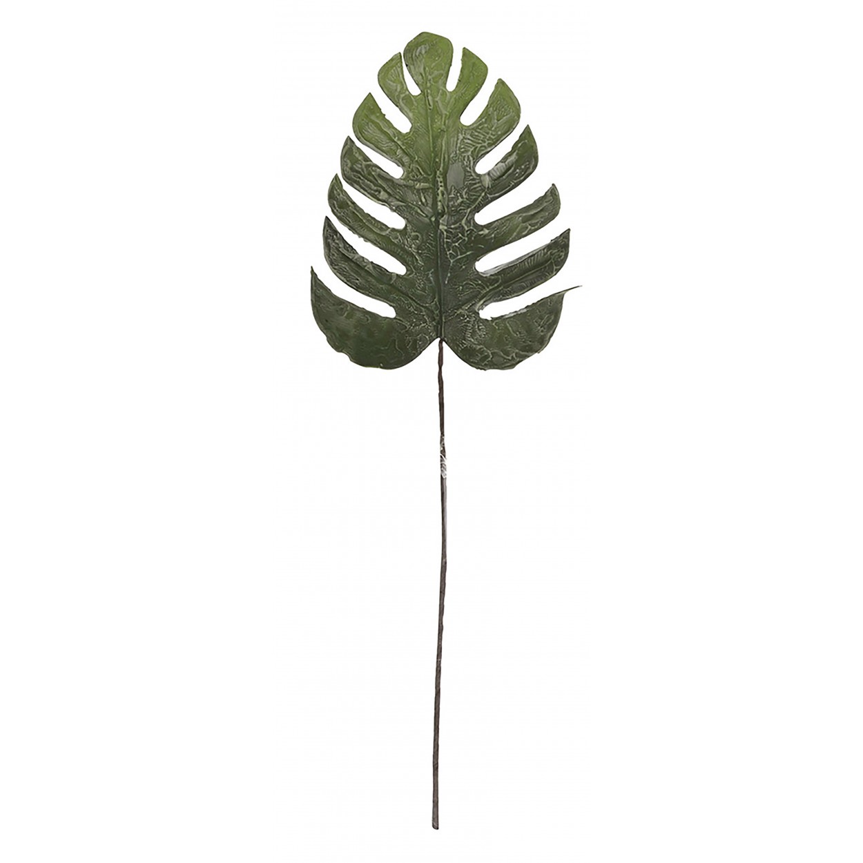 HOJA ESPUMA DECORATIVA 20X3X80