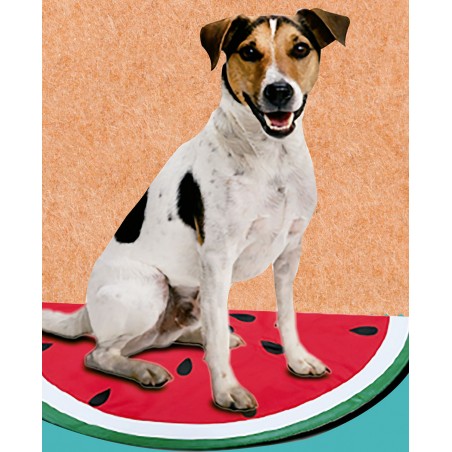 ALFOMBRILLA REFRESCANTE MASCOTAS SANDÍA/LIMÓN 29X45CM