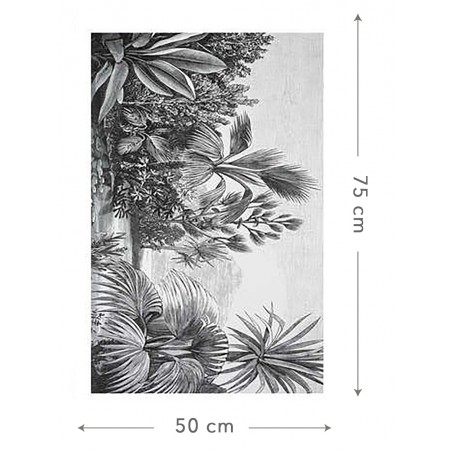 ALFOMBRA VINILO SAFARI 50X70