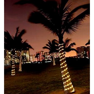 TUBO MANGUERA DE LUCES LED EXTERIOR BLANCO CÁLIDO 10M