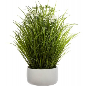 PLANTA DECORATIVA...
