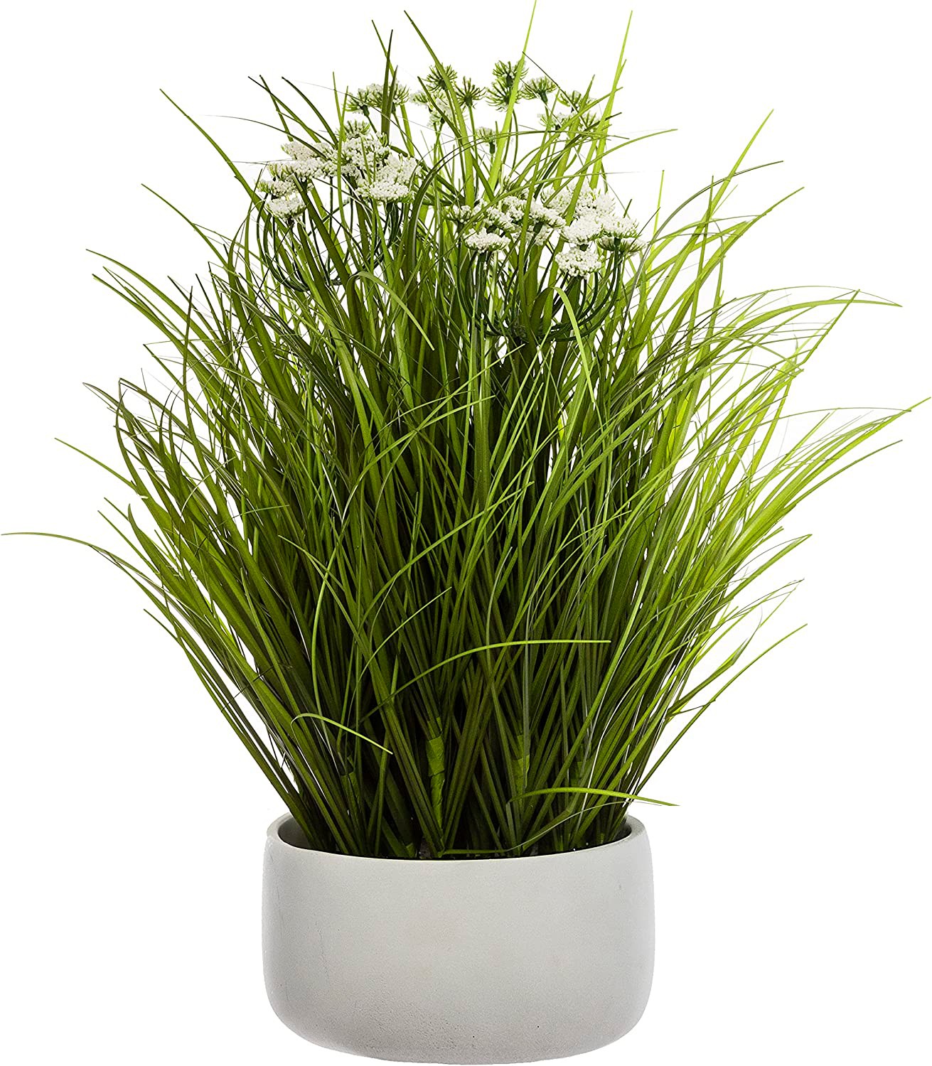 PLANTA DECORATIVA...