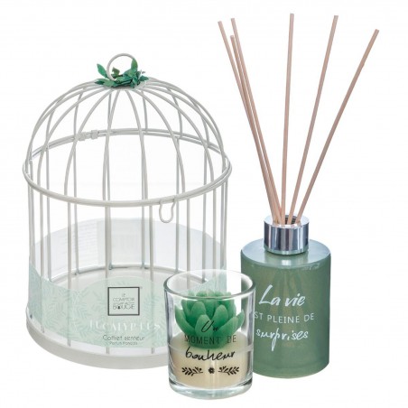 JAULA DECORATIVA + DIFUSOR + VELA AROMÁTICA EUCALIPTO
