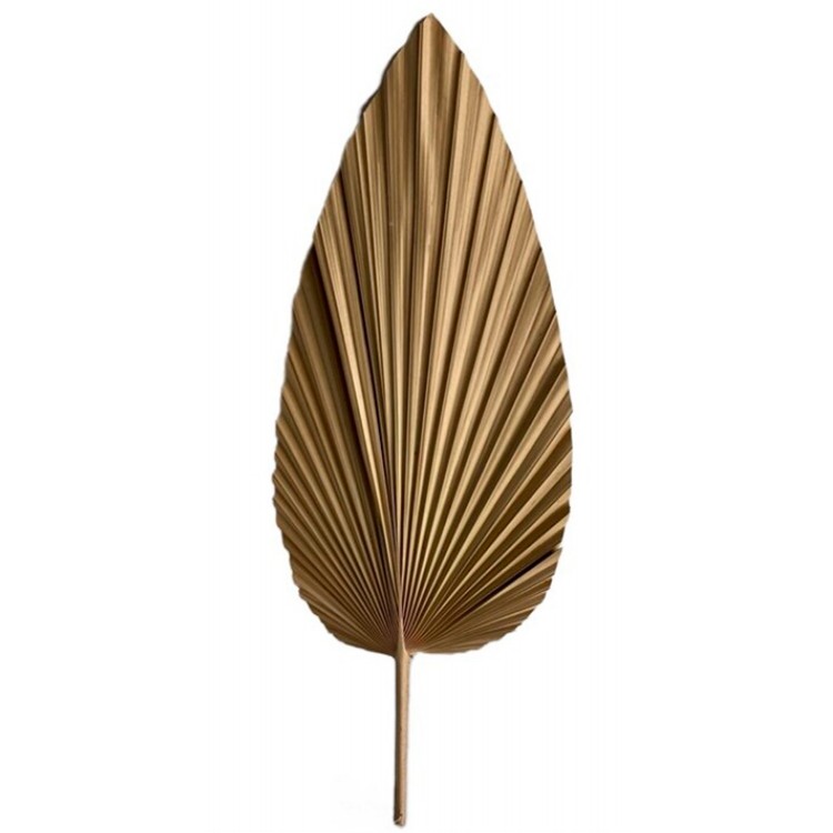 HOJA PALMERA DECORATIVA NATUR 26X65CM
