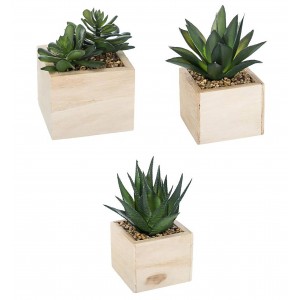 PLANTAS NATUR MACETA MADERA