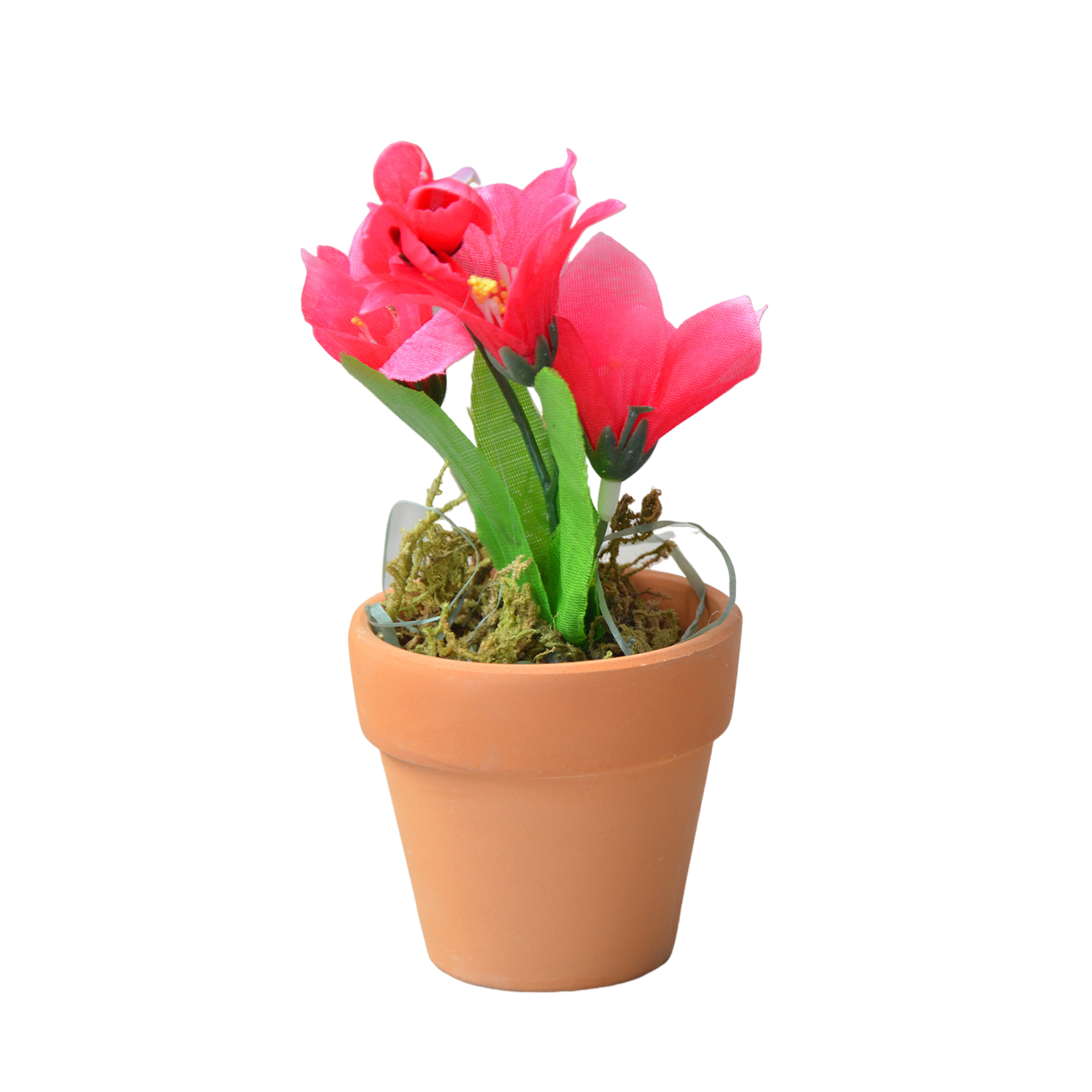 Impianto artificiale Fiore...