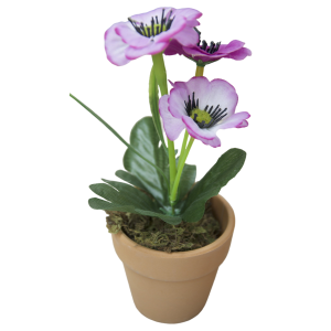 copy of Plante Artificielle...