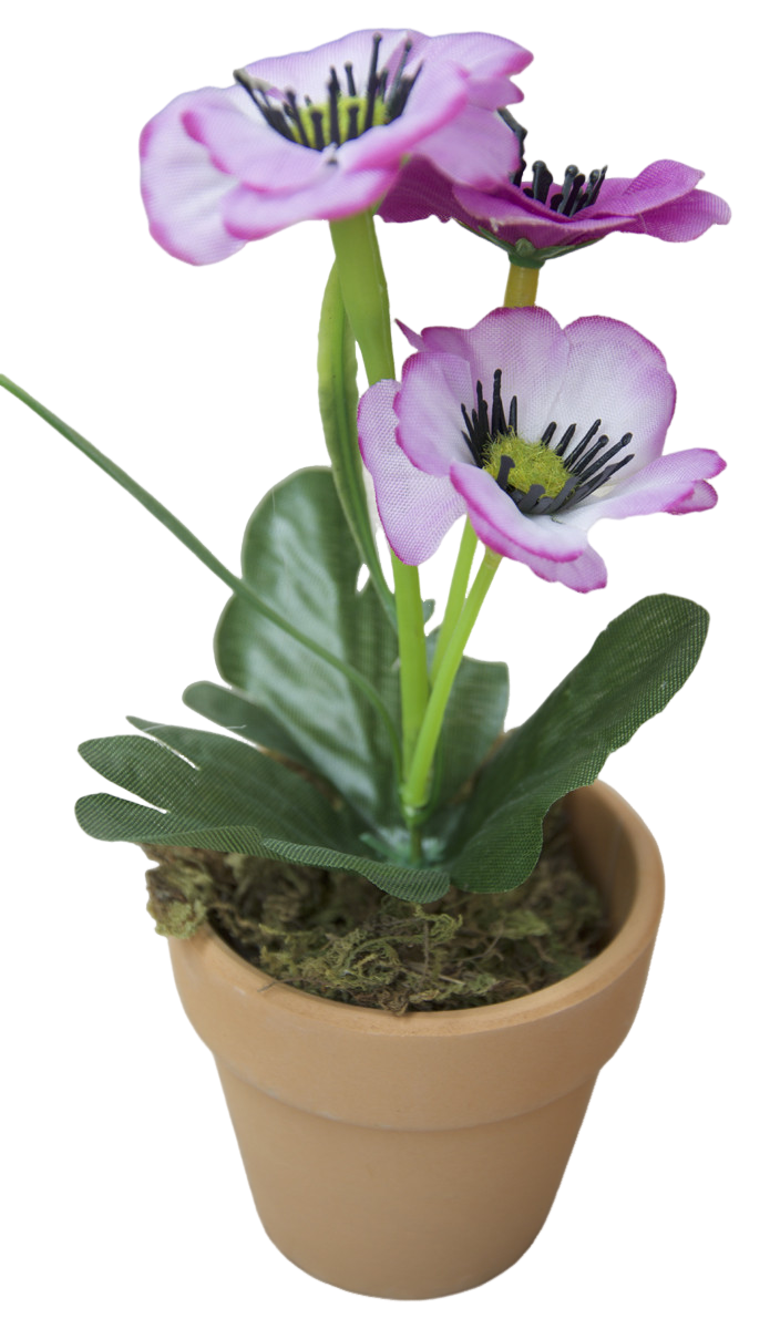 copy of Plant Artificial...