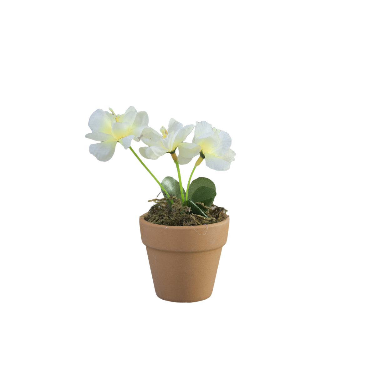 Planta Artificial Maceta de Barro Natural para Decoración 2 Unidades BLANCO