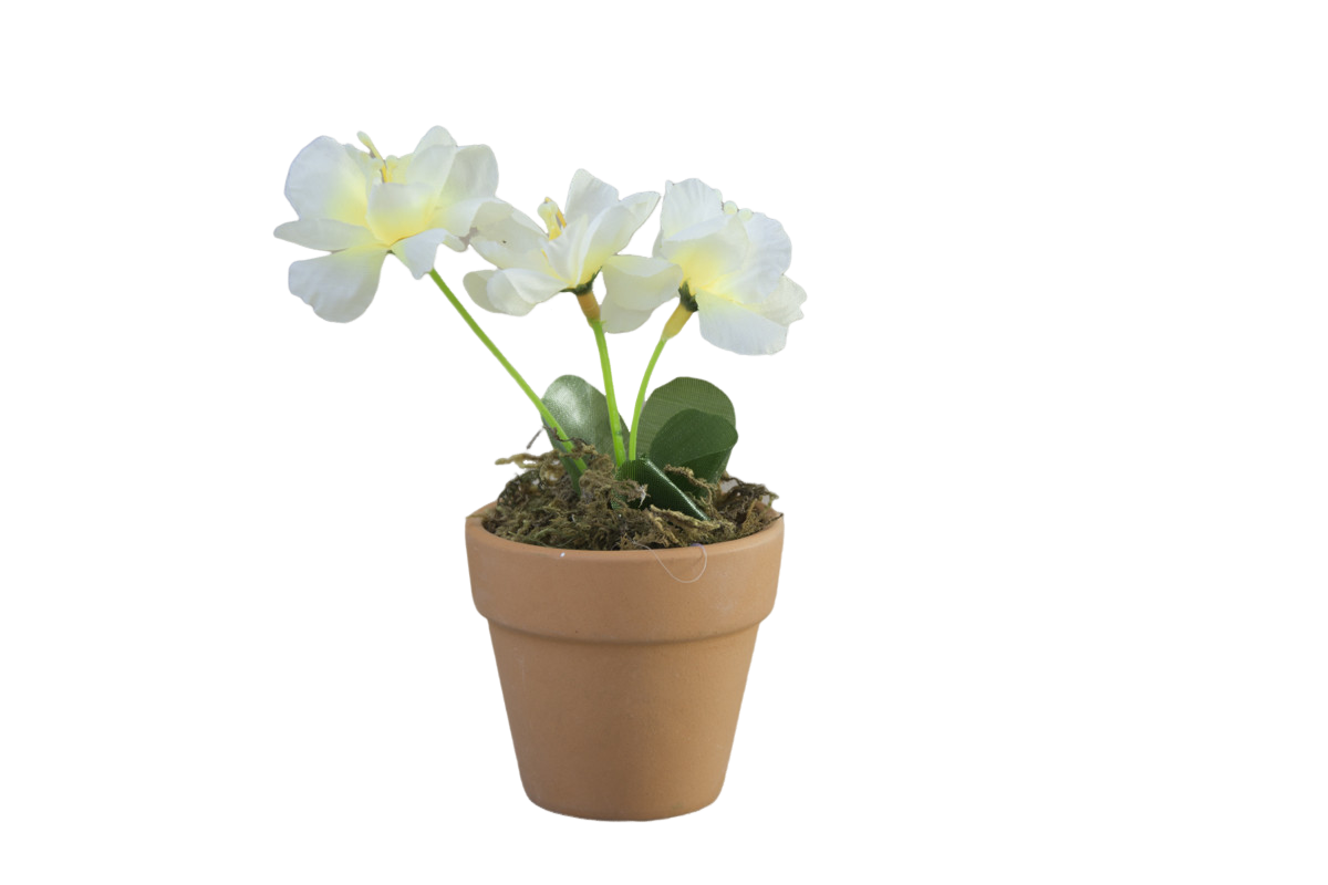 Planta Artificial Maceta de Barro Natural para Decoración 2 Unidades BLANCO