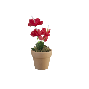 copy of Plante Artificielle...