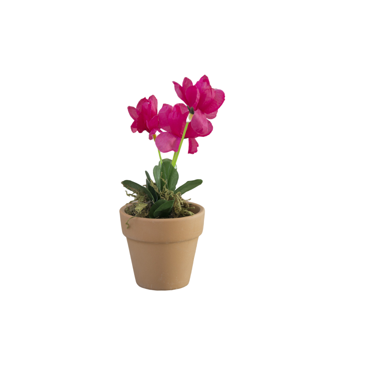 Planta Artificial Maceta de Barro Natural para Decoración 2 Unidades ROSA